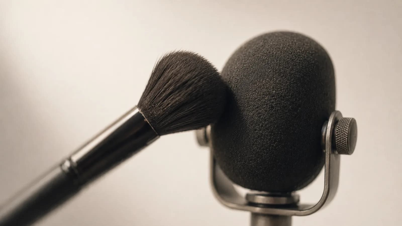 A soft brush resting against the foam windscreen of a microphone.